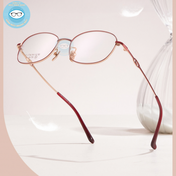 Gọng kính kim loại mã 6175